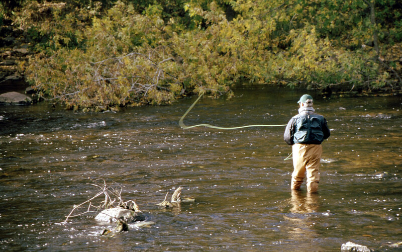Fly Fishing on Willowemoc Creek