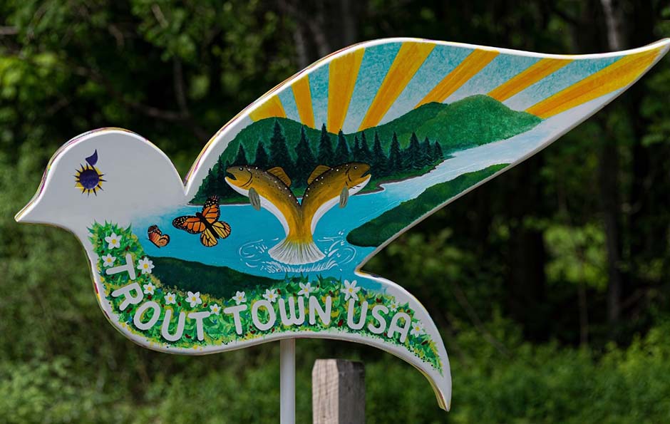 Sullivan County Catskills Dove Trail