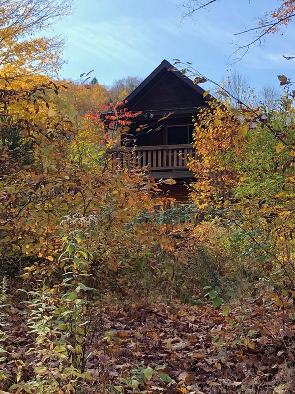 Creekside cabin exterior with wraparound deck